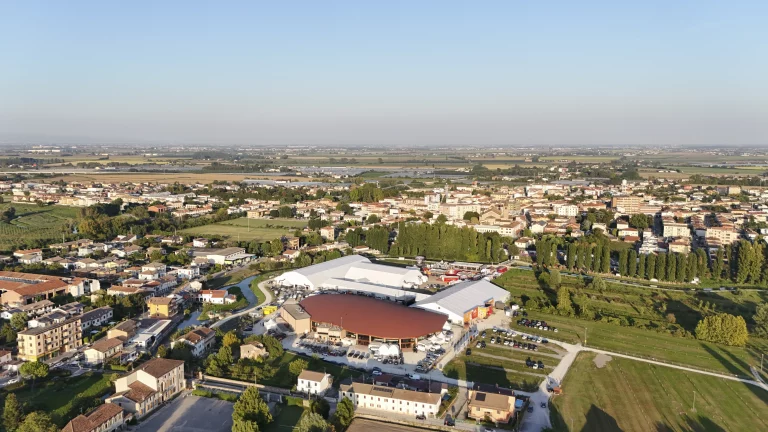 fiera del riso drone dall alto